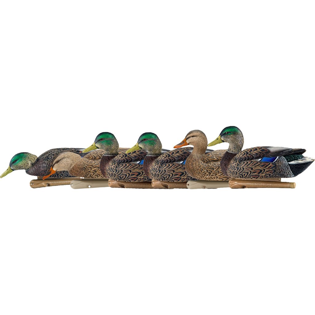 AvianX Top Flight Duck Decoys Early Season Mallards 6 pk.