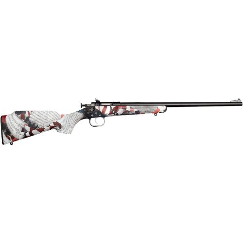 Keystone Crickett Rifle 22 LR 16 in. Amendment Stainless RH