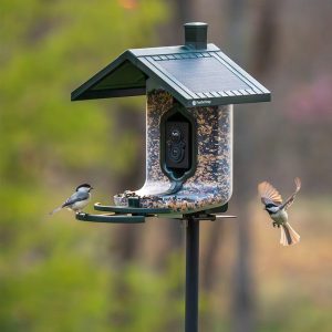 Tactacam FeatherSnap Scout Bird Feeder Version 1