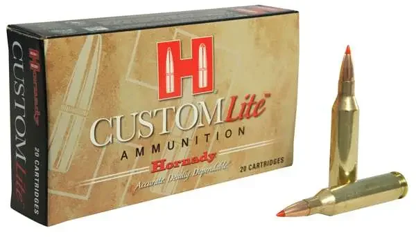HORNADY CUSTOM LITE 243 WIN 87GR SST 20RD BX 200RD CASE