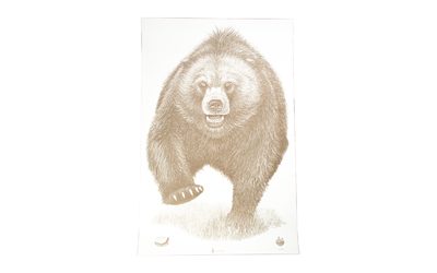 ACTASP-BB-100_1.jpg ACTION TGT AK STATE PARK BEAR 100PK