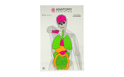 ACTGS-ANATOMY-100_1.jpg ACTION TGT ANATOMY TRNG 100PK