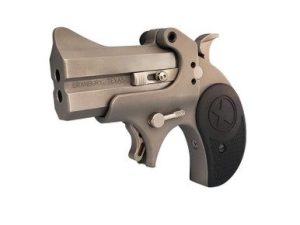 Bond Arms BARH-22LR Rawhide 22LR 2.5" 2 Rounds Matte Stainless
