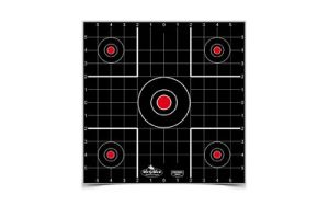 B/C DIRTY BIRD SIGHT IN TGT 12-12"