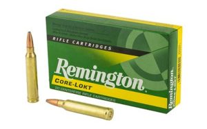 REM 300WIN 150GR PSP CL 20/200
