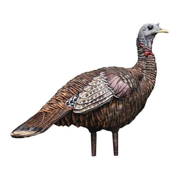 https3A2F2Fmedia.chattanoogashooting.com2Fimages2Fproduct2FAVAVXAVX80062FAVAVXAVX8006_1.jpg Avian-X LCD Lookout Hen Turkey Decoy