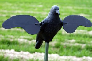 MOJO Motion Decoy Crow Decoy