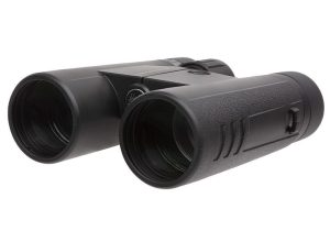 SIG SAUER BUCKMASTERS BINO 10X42 BLK