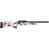 1213866_1 Keystone Crickett Precision Rifle 22 LR Blued/2nd Amendment Print