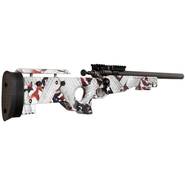 1213866_3 Keystone Crickett Precision Rifle 22 LR Blued/2nd Amendment Print