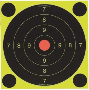 Birchwood Casey Shoot-N-C International Target