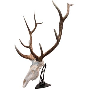 Skull Hooker Big Table Hooker Black
