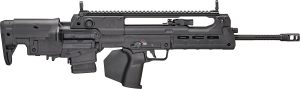 SPG HELLION 5.56 20B CA 10RD